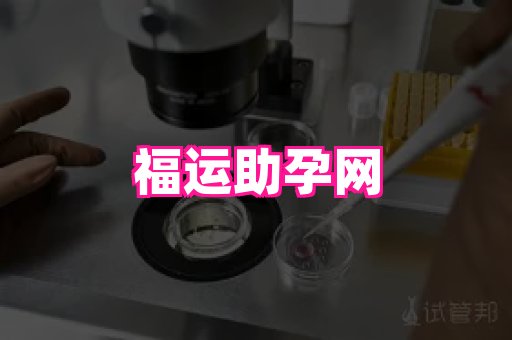 gfg孕网 4